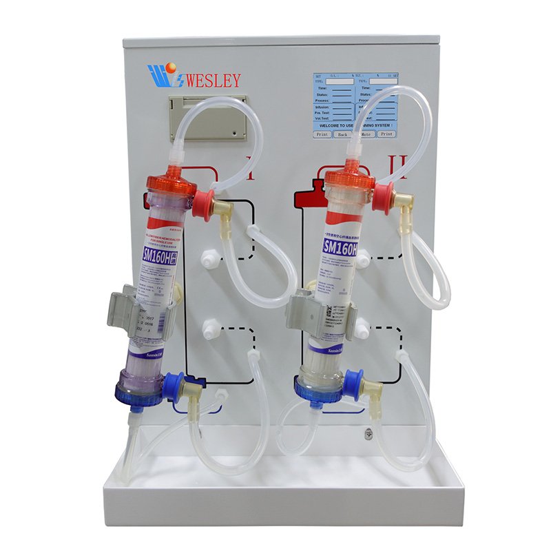 Khám Phá Cơ Hội Mua Sắm Tại Https F168.Shop Hướng Dẫn Toàn Diện